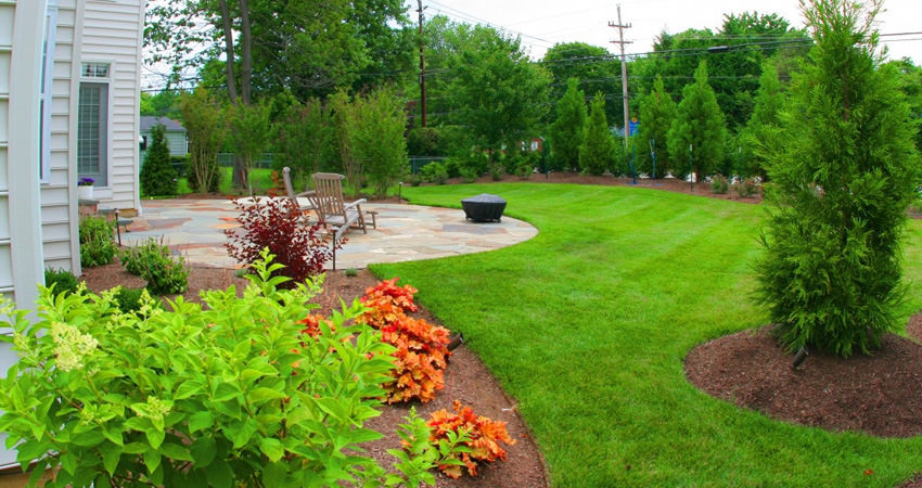 What Are Your Landscaping Needs?