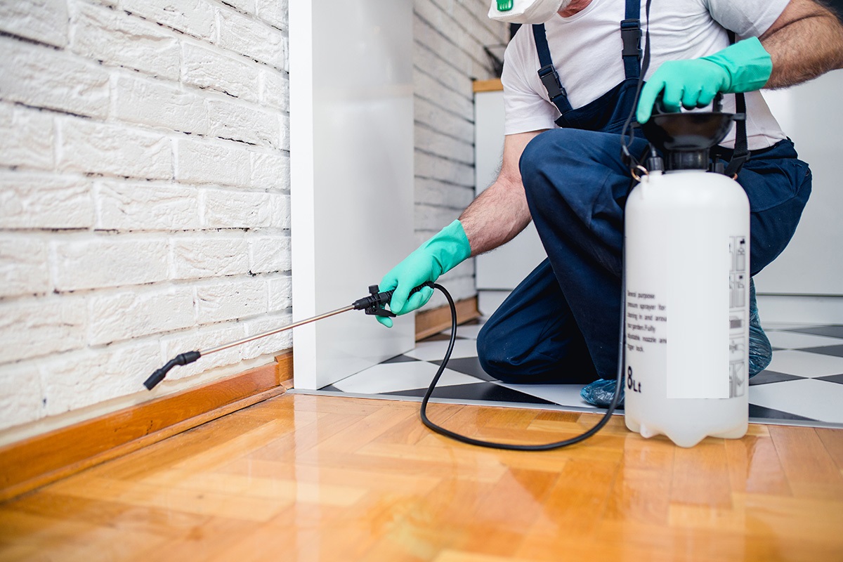 Top 5 Features of a Pest Control